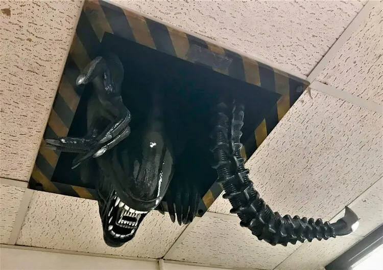 Alien - Xenomorph