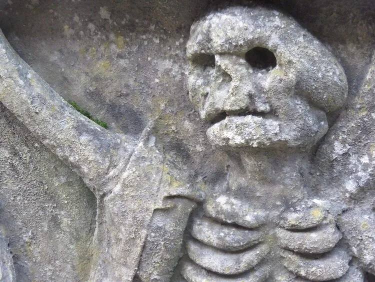 Close view of the aged skull and rib details