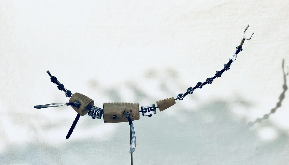 Exposed metal armature for the Styxosaurus body and neck