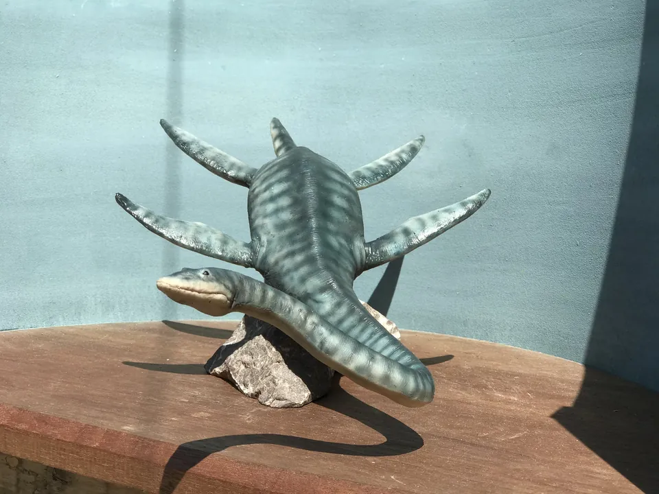 Front view of the Styxosaurus puppet with flippers spread