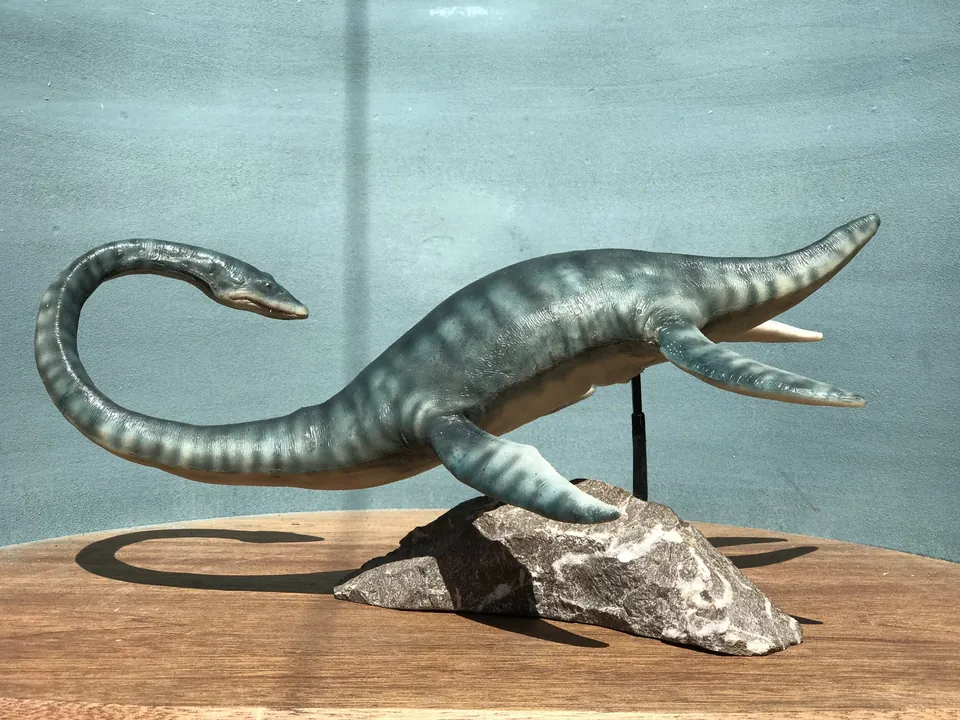 Side view of the Styxosaurus puppet and curved neck
