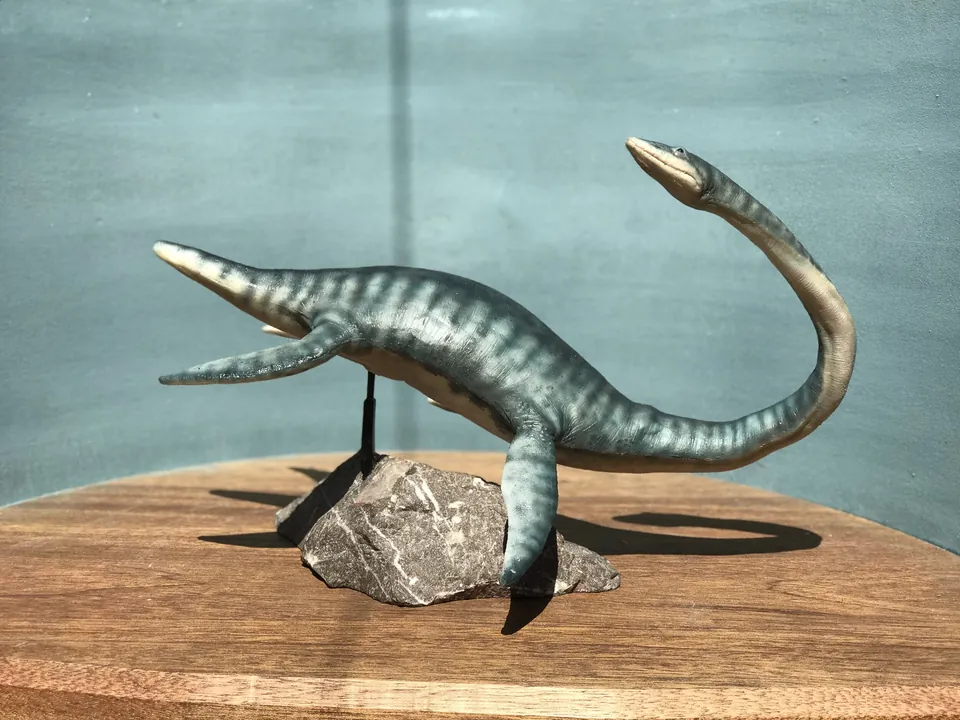 Rear view showing the puppet tail and flippers