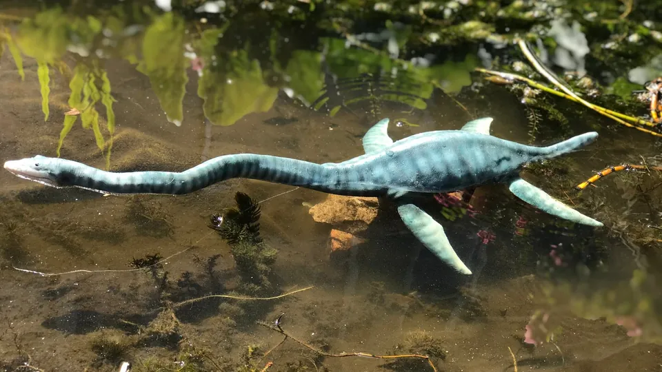 Styxosaurus puppet photographed beside a stream