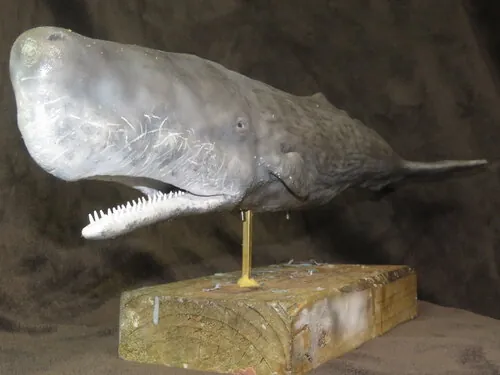 Sperm whale puppet with its mouth open on a display stand