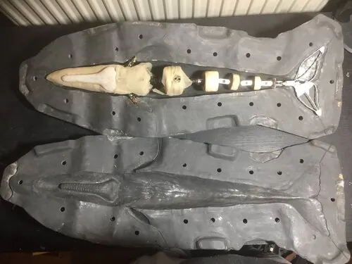 Opened mould used to form the sperm whale puppet