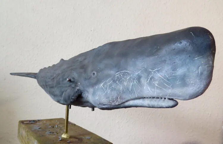 Sperm Whale (stop-motion puppet)